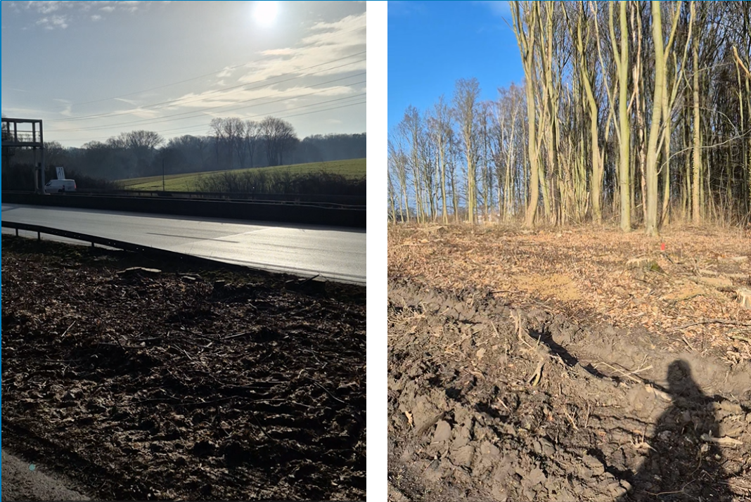 Ausbau-des-Kreuzes-Dortmund-Unna-Videospaziergang-Leserin-best-rzt-ber-Ausma-der-Waldrodung-an-der-A44