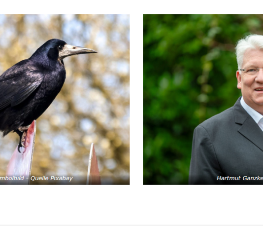 „Saatkrähen-Konflikte“ im Kreis Unna: Ganzke (SPD) enttäuscht über Antwort der Landesregierung