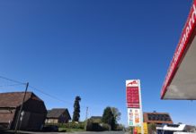 Hund auf B1 bei Hemmerde angefahren und schwer verletzt liegen gelassen – Verräterisches Indiz am Unfallort