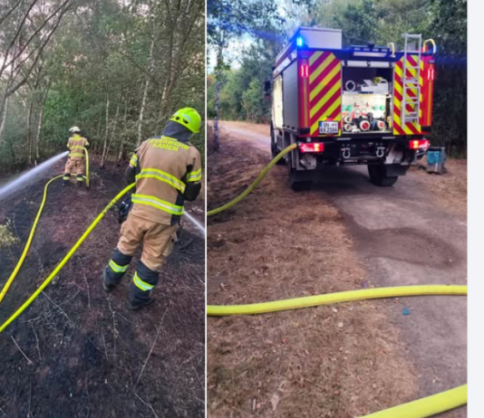 Feuerteufel in Kamen aktiv – Mehrere Flächenbrände im Bereich Technopark