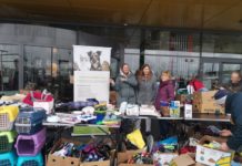 Geld für Tierschutzarbeit: TSV Unna sammelt heute auf Trödelmarkt bei Ikea und Samstag im Büdchen am Stuckenberg