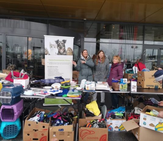 Geld für Tierschutzarbeit: TSV Unna sammelt heute auf Trödelmarkt bei Ikea und Samstag im Büdchen am Stuckenberg
