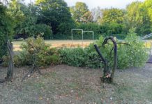 Vandalismus, Lärm, zerstückelte Bäume – Stadt Bergkamen beauftragt bis Ferienende Sicherheitsdienst auf Schulgeländen