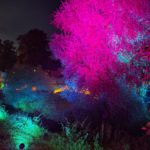 Licht an für Seseke und Kamener City – Stadtleuchten zum 100. Geburtstag des Lippeverbandes