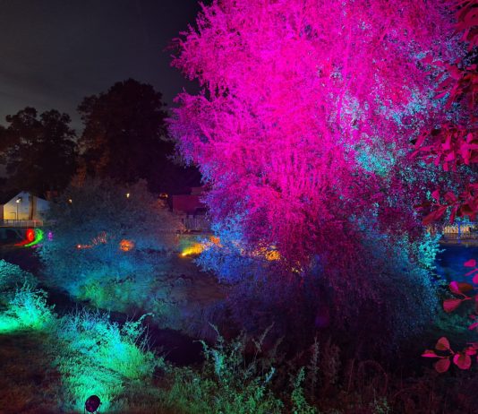 Licht an für Seseke und Kamener City – Stadtleuchten zum 100. Geburtstag des Lippeverbandes