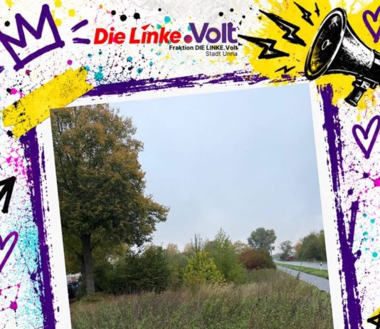 Entweder bauen – oder zahlen: Linke.Volt fordert Grundsteuer C für Unna